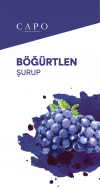 BÖĞÜRTLEN ŞURUP